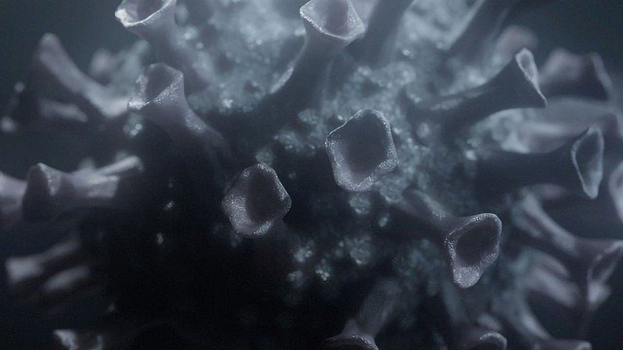 SARS-CoV-2 Makes Sacrifices To Escape Antibodies