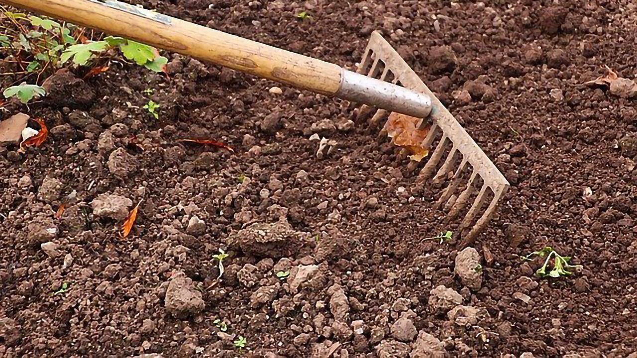 As the Climate Changes, So Do Soil Bacteria