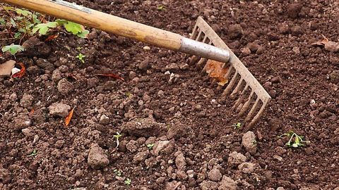 As the Climate Changes, So Do Soil Bacteria