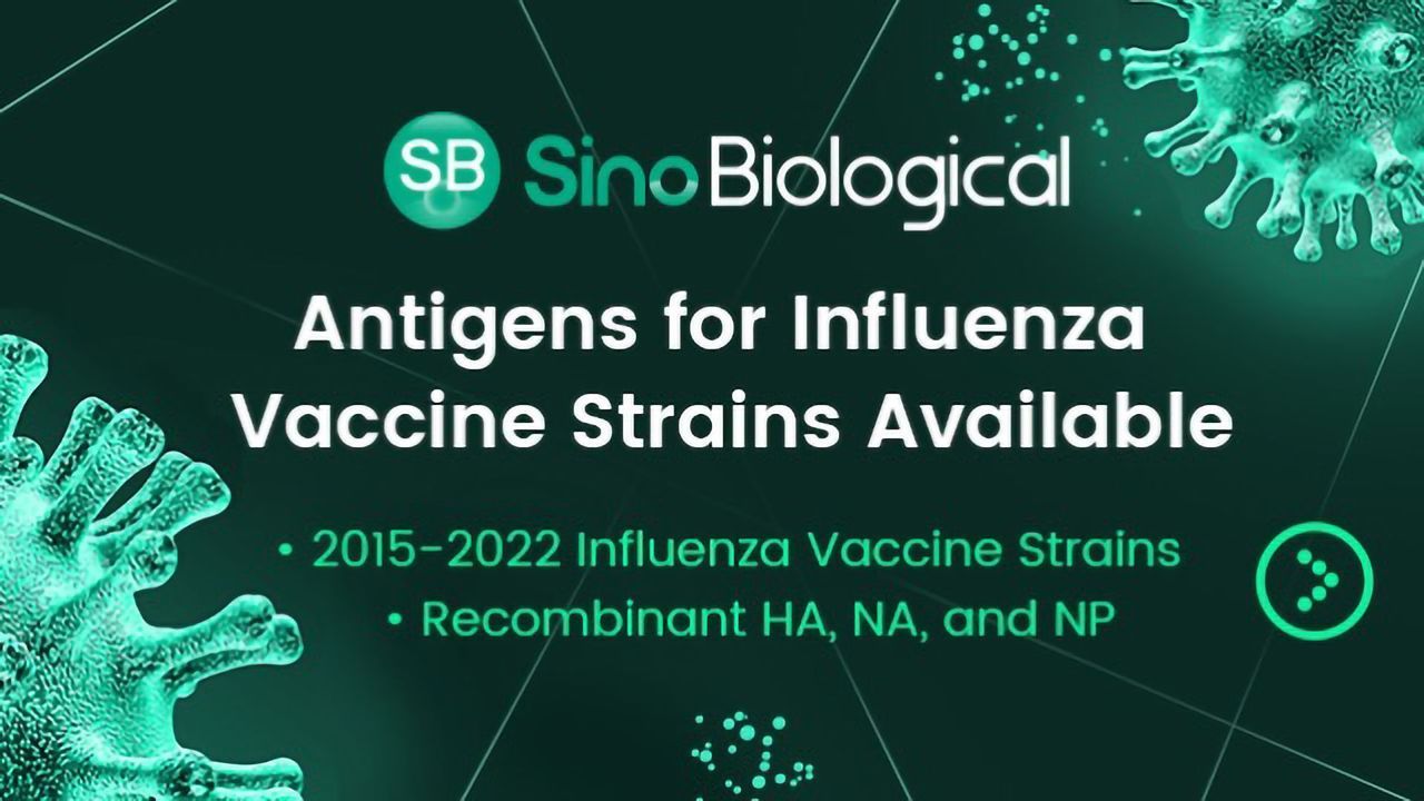 Antigens for Influenza Vaccine Strains Available