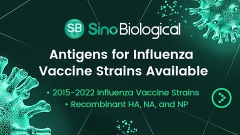 Antigens for Influenza Vaccine Strains Available
