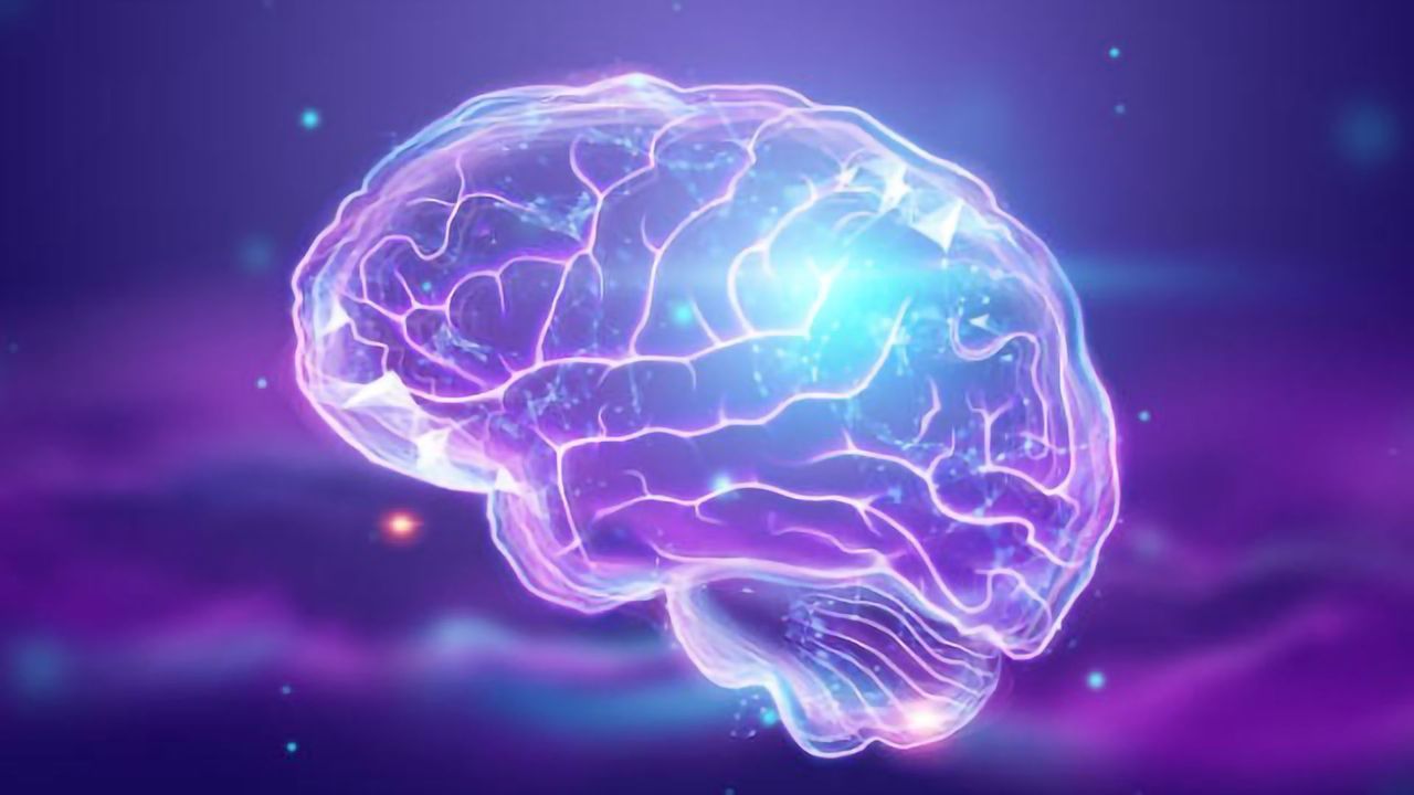 Teach Me in 10 – Brain Organoids With Dr. Christopher Esk
