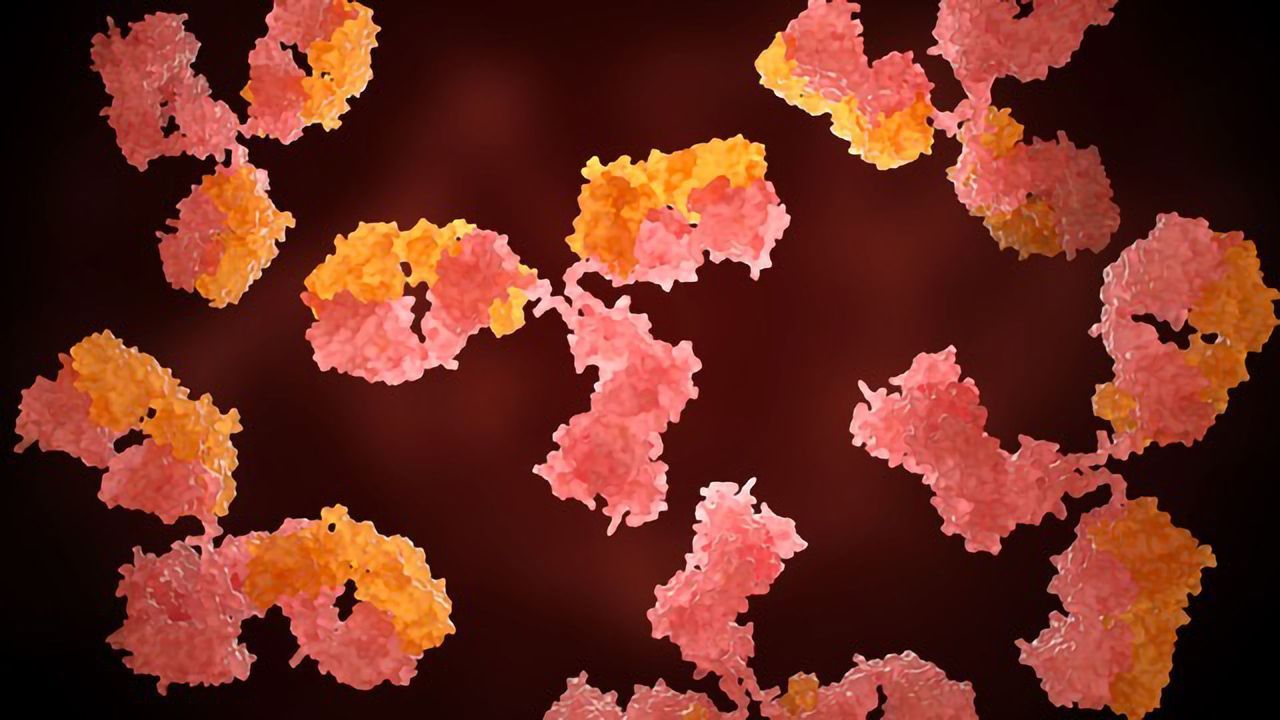 ABP-300: A Neutralizing Antibody Treatment for COVID-19