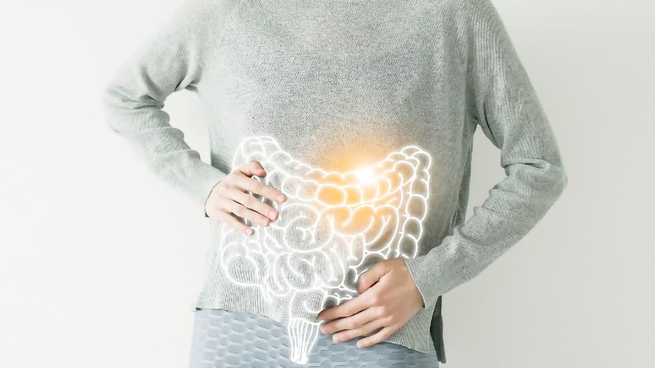 Why Rewilding the Gut Might Not Help Fight the Diseases of Industrialization