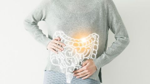 Why Rewilding the Gut Might Not Help Fight the Diseases of Industrialization