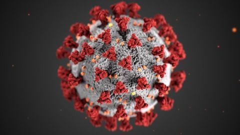 UK Diagnostic Company Collaborates With UK Com-COV Vaccine Trial