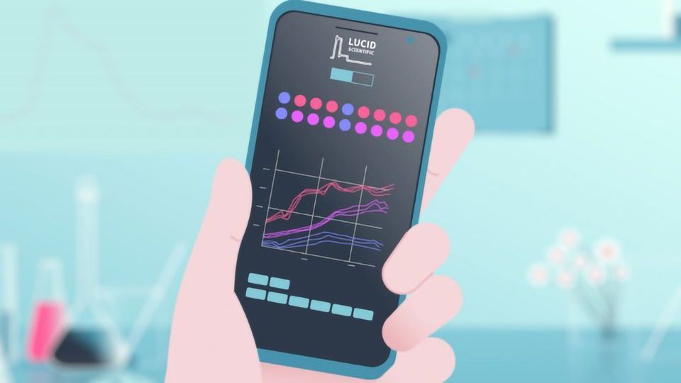 Non-Invasive and Real-Time Cell Analysis on Standard Well Plates Directly in Your Incubator content piece image