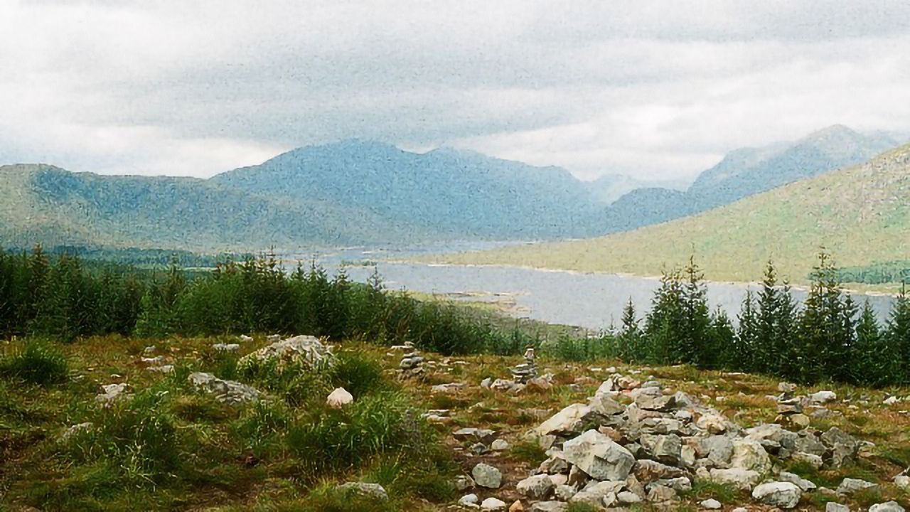 Billion-Year-Old Fossil From Scottish Highlands Reveals Missing Link in Animal Evolution