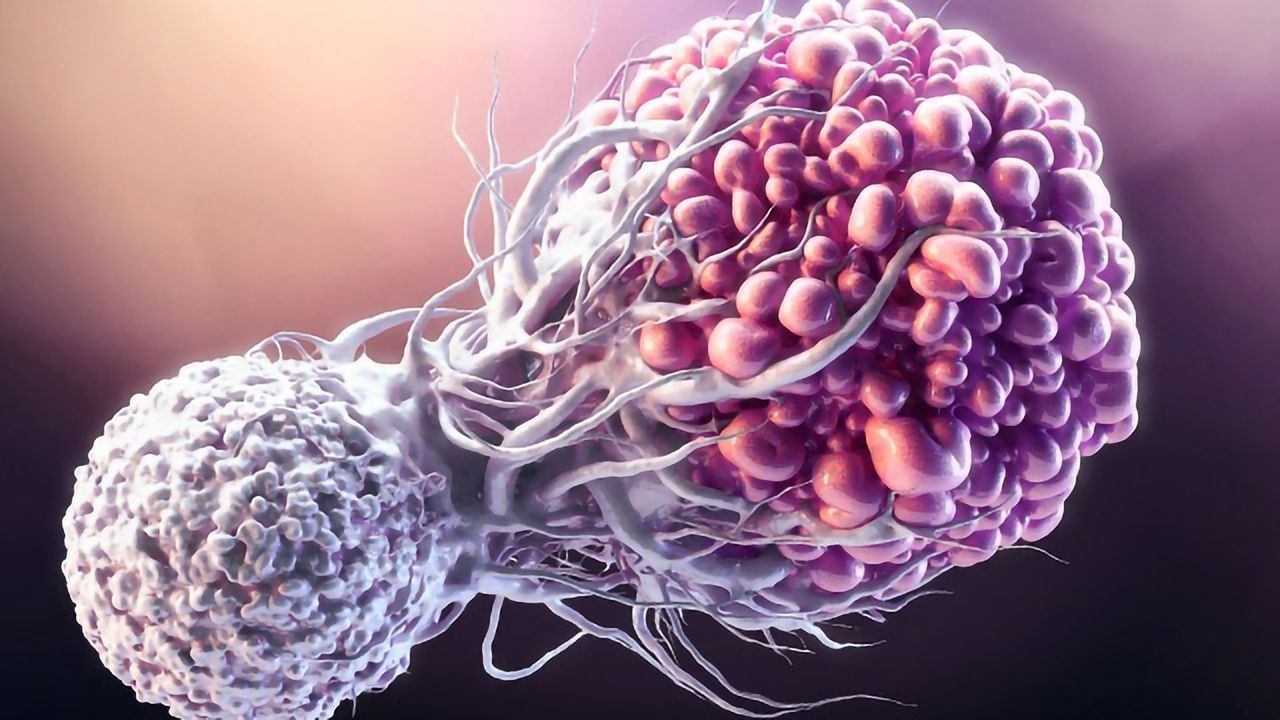 Advances in Cancer Research