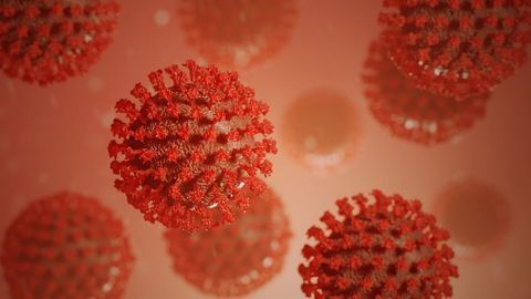 COVID-19 Test Detects Antibodies in a Drop of Blood