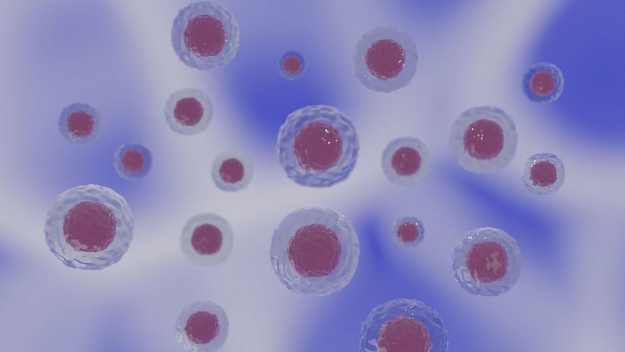 Small-Molecule Cocktail Protects Stem Cells From Stress