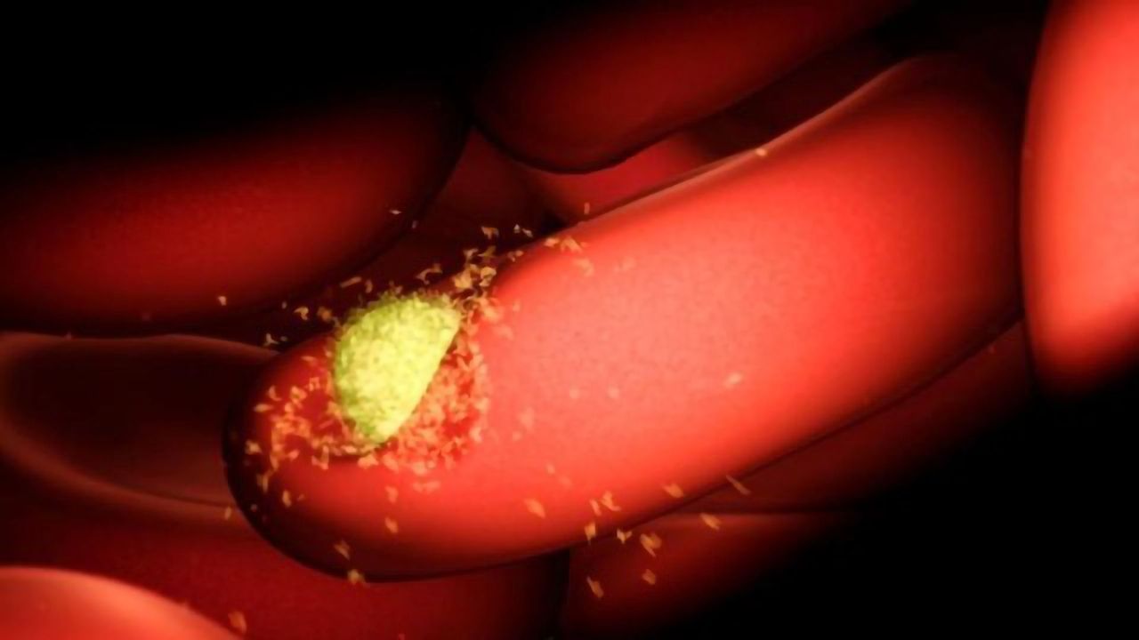 Natural Immunity to Malaria Offers Direction for Future Therapies