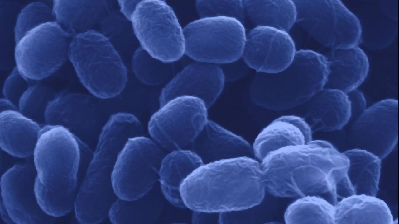Microbes Turn Waste Into Useful Chemicals