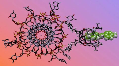 Chemical “Nose” Sniffs Out the Smallest of Changes in DNA Structure