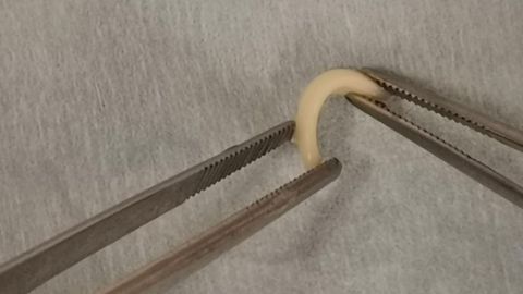 Researchers Successfully Bioprint Nasal Cartilage