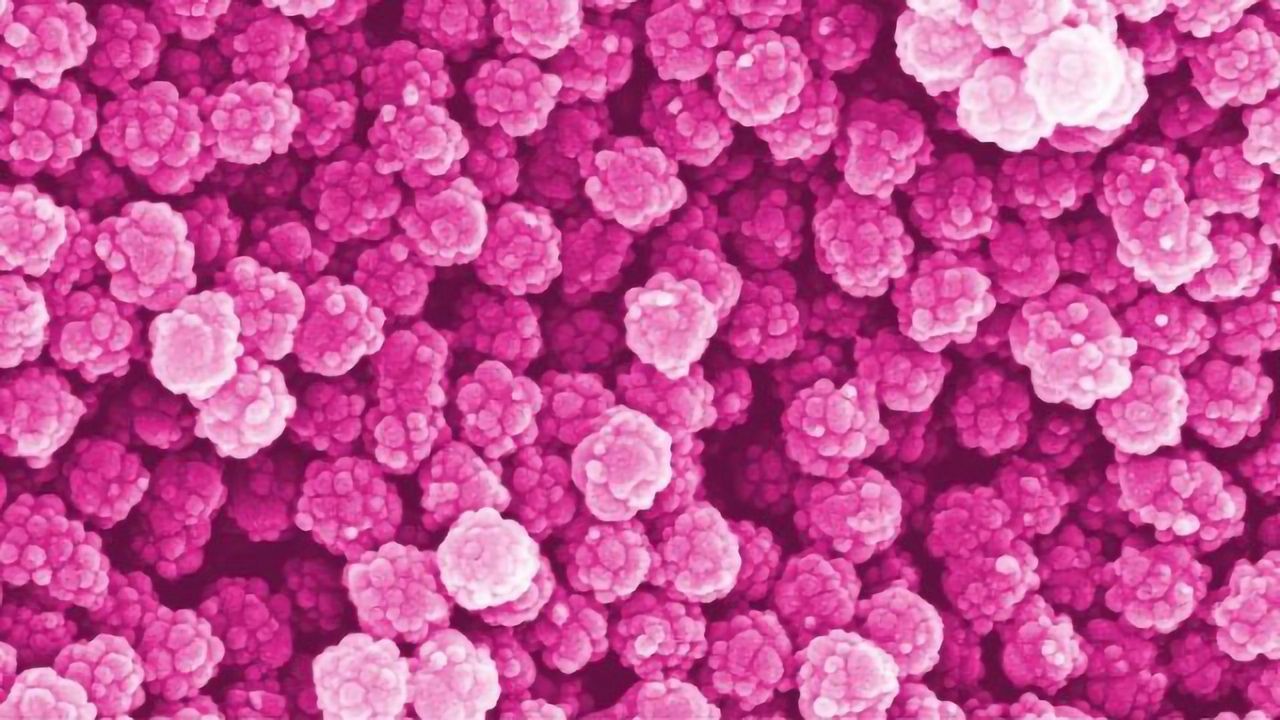 Are Nanoplastics a Ticking Time Bomb?