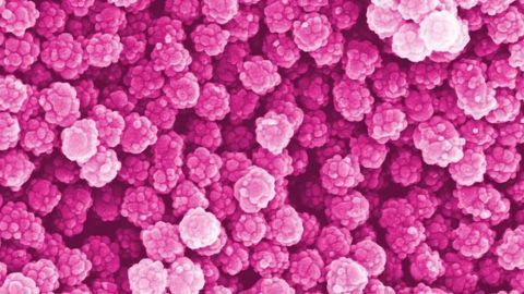 Are Nanoplastics a Ticking Time Bomb?