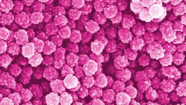 Are Nanoplastics a Ticking Time Bomb? content piece image