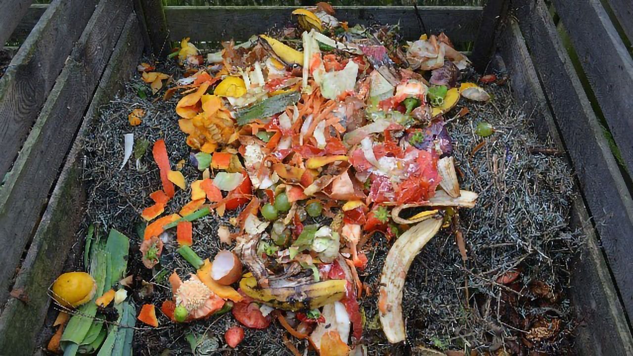 How Science Is Helping To Solve the Food Waste Crisis