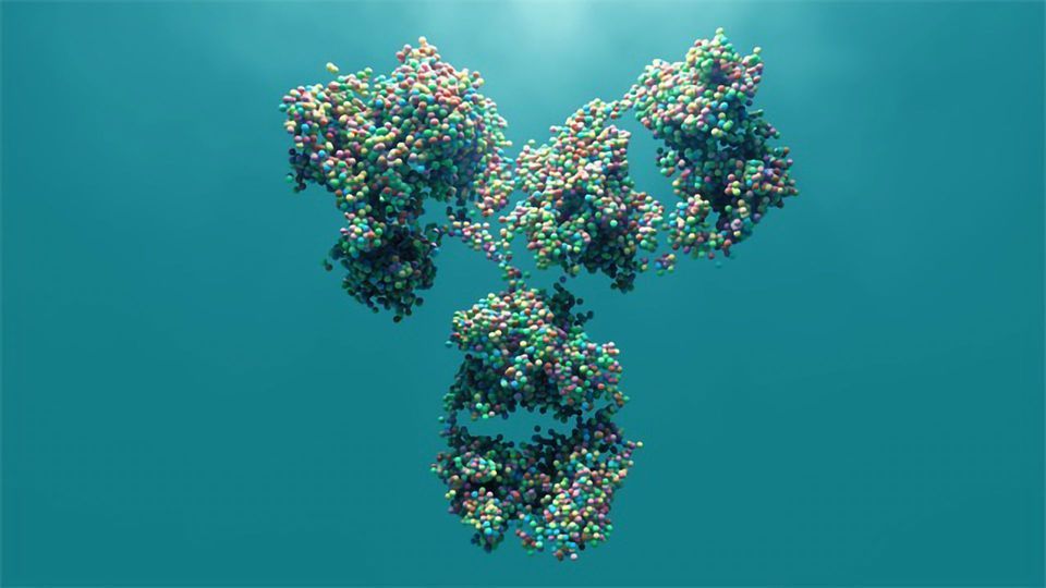 Disease Discovered That Prevents Antibody Formation content piece image