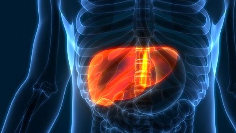 Which Drugs Are Most Toxic to the Liver? content piece image