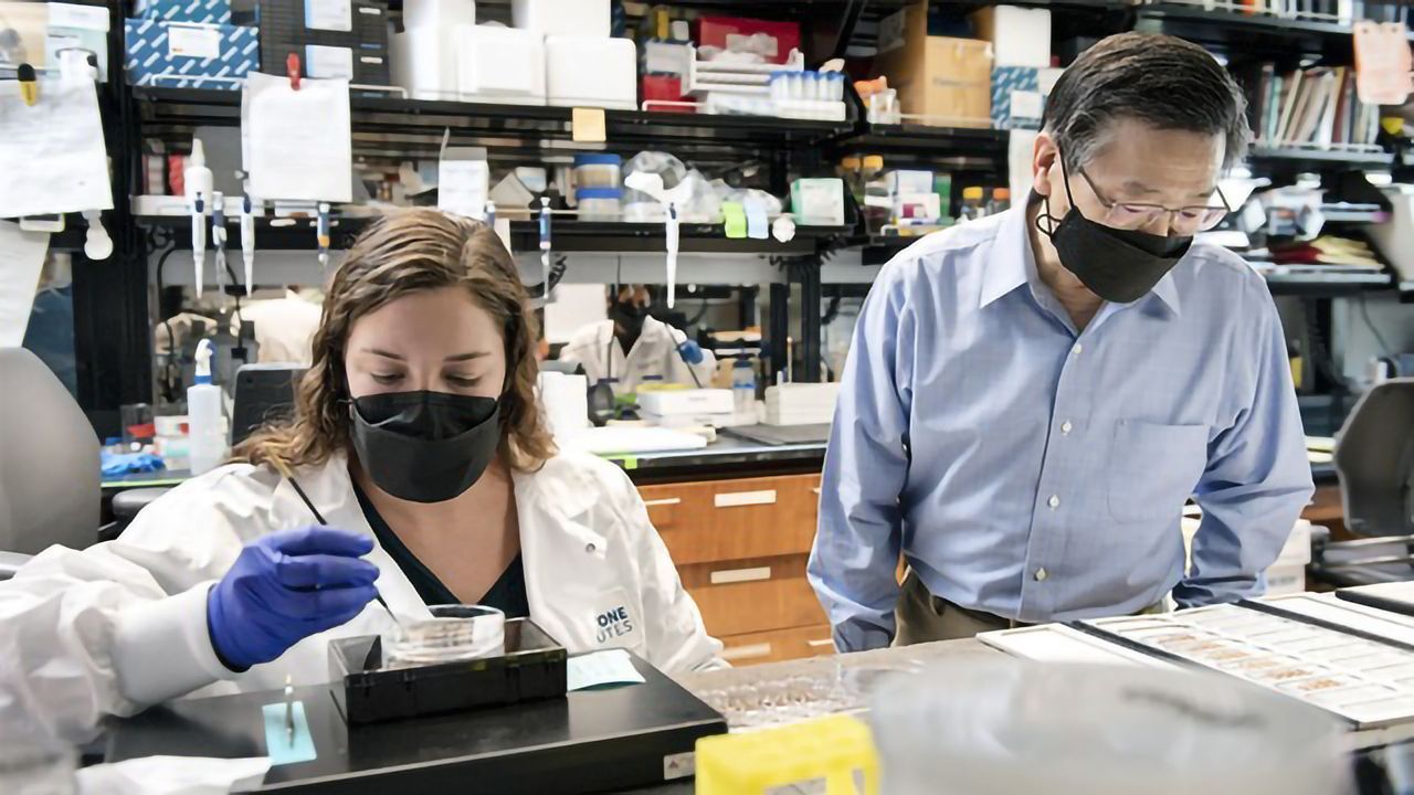 What Makes Some Brain Cells Resilient Against Alzheimer's?