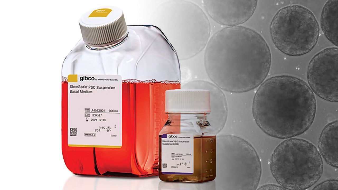 StemScale Medium Enables Cost-Effective PSC Scale-Up