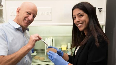 Combating Antibiotic-Resistant Bacteria With “Molecular Tweezers”