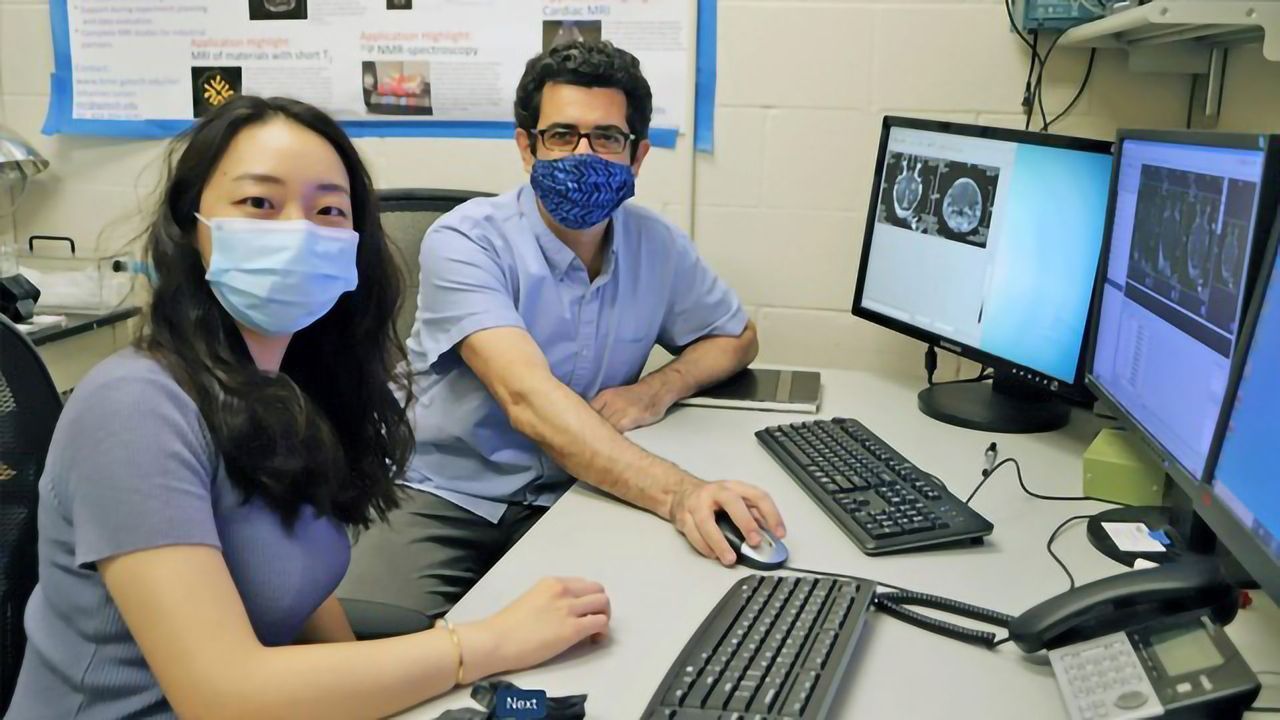 Nanoparticles Could Help Get Drugs Through the Blood-Brain Barrier