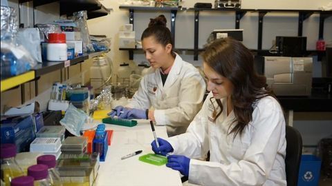 Bacteria Do Not Colonize the Gut Before Birth