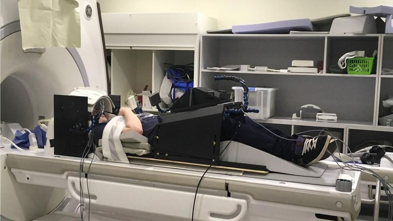 Brain Scanning Study Reveals Secrets of Human Tool Use