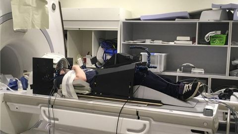 Brain Scanning Study Reveals Secrets of Human Tool Use