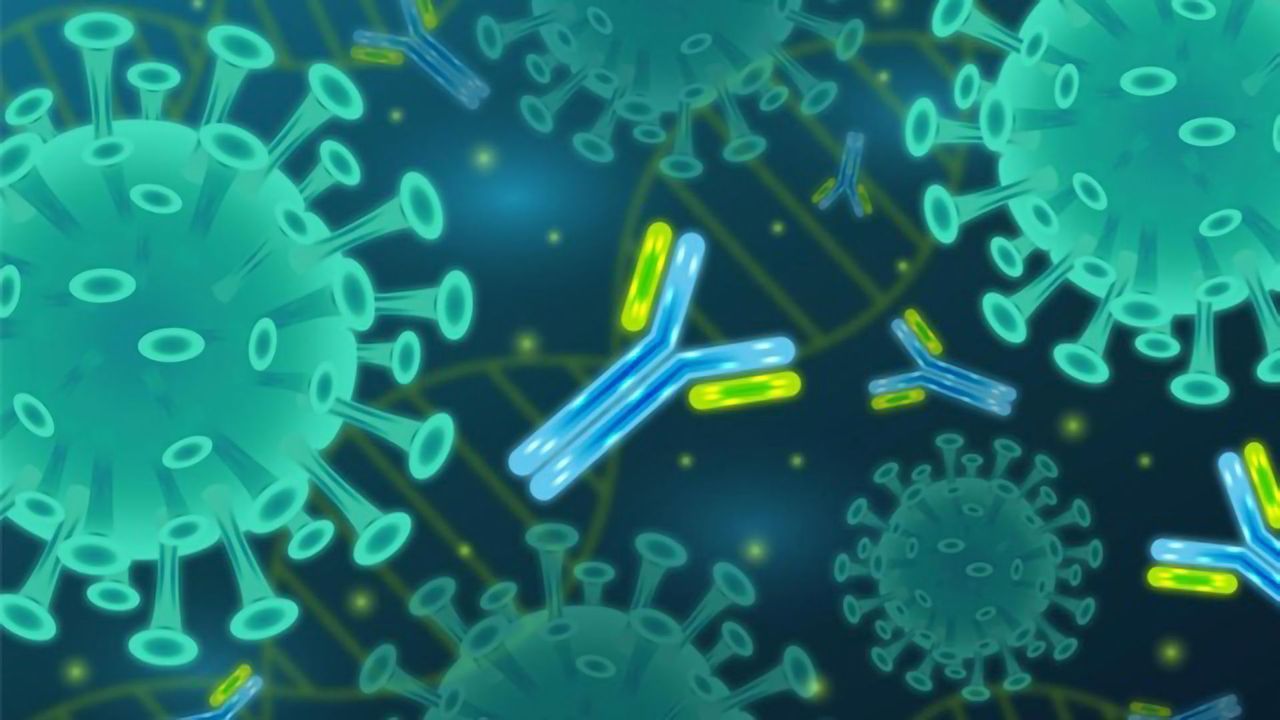 Which Antibodies Best Neutralize the Coronavirus In COVID-19 Patients?