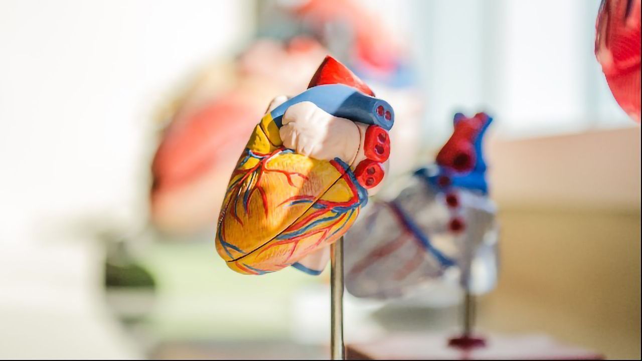 Map of Metabolic Changes After Heart Attack