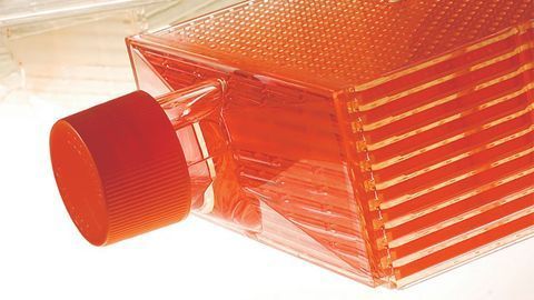 Get 10X Greater Cell Growth