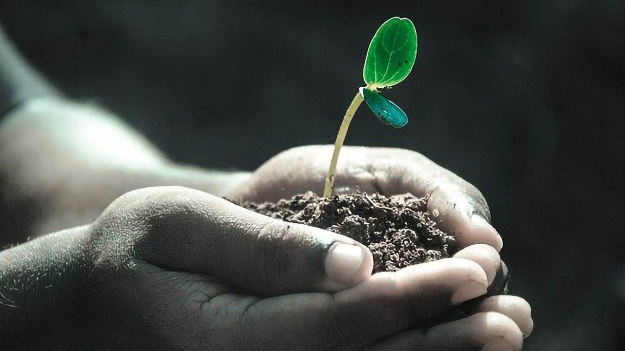 Earthworms a Natural and Sustainable Solution for Reducing Antibiotic Resistance Genes in Soil