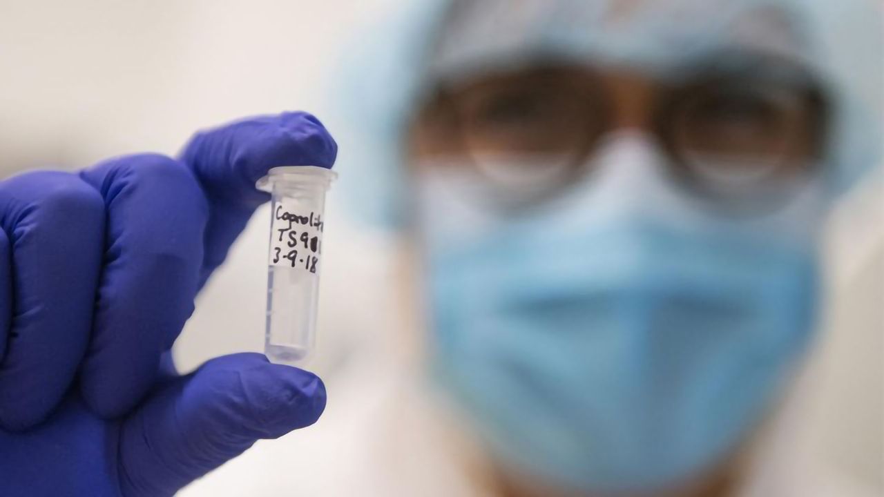 Did Ancient People Have More Diverse Gut Microorganisms?