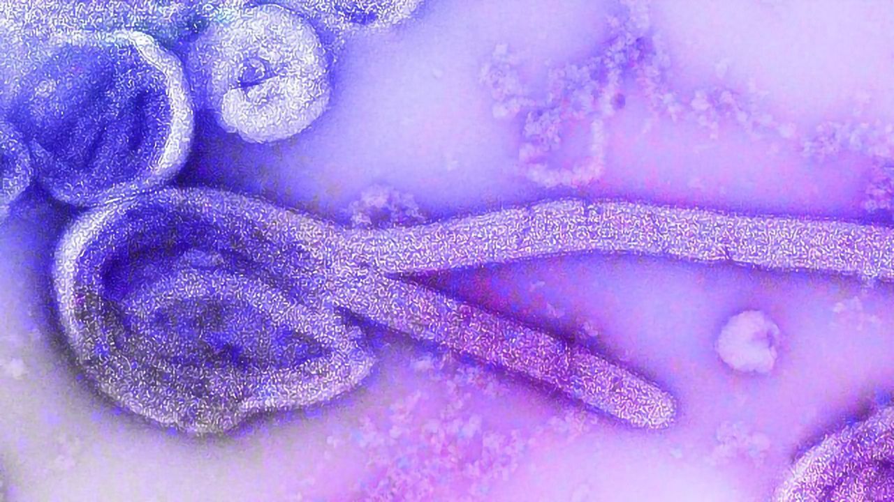 Innovative Approach for Ebola Vaccine Design