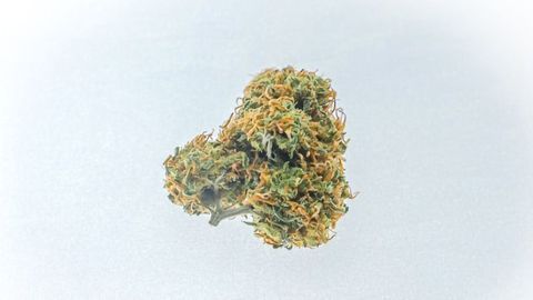 New Molecule Could Enable Use of THC To Fight Pain Without the Side Effects
