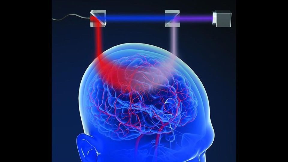 Technique Could Assess Brain Injuries With Light content piece image