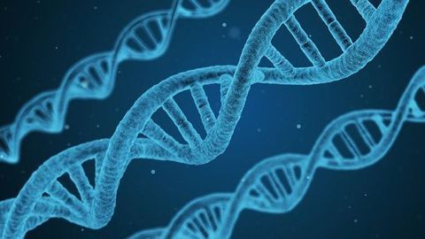 Bio-Rad Launches the SEQuoia RiboDepletion Kit for Next-Generation Sequencing Bio-Rad Launches the SEQuoia RiboDepletion Kit for Next-Generation Sequencing