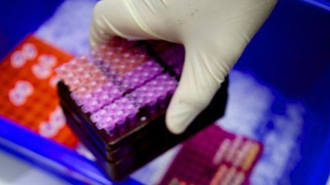 Increasing the Diversity of Cells Used in Medical Research