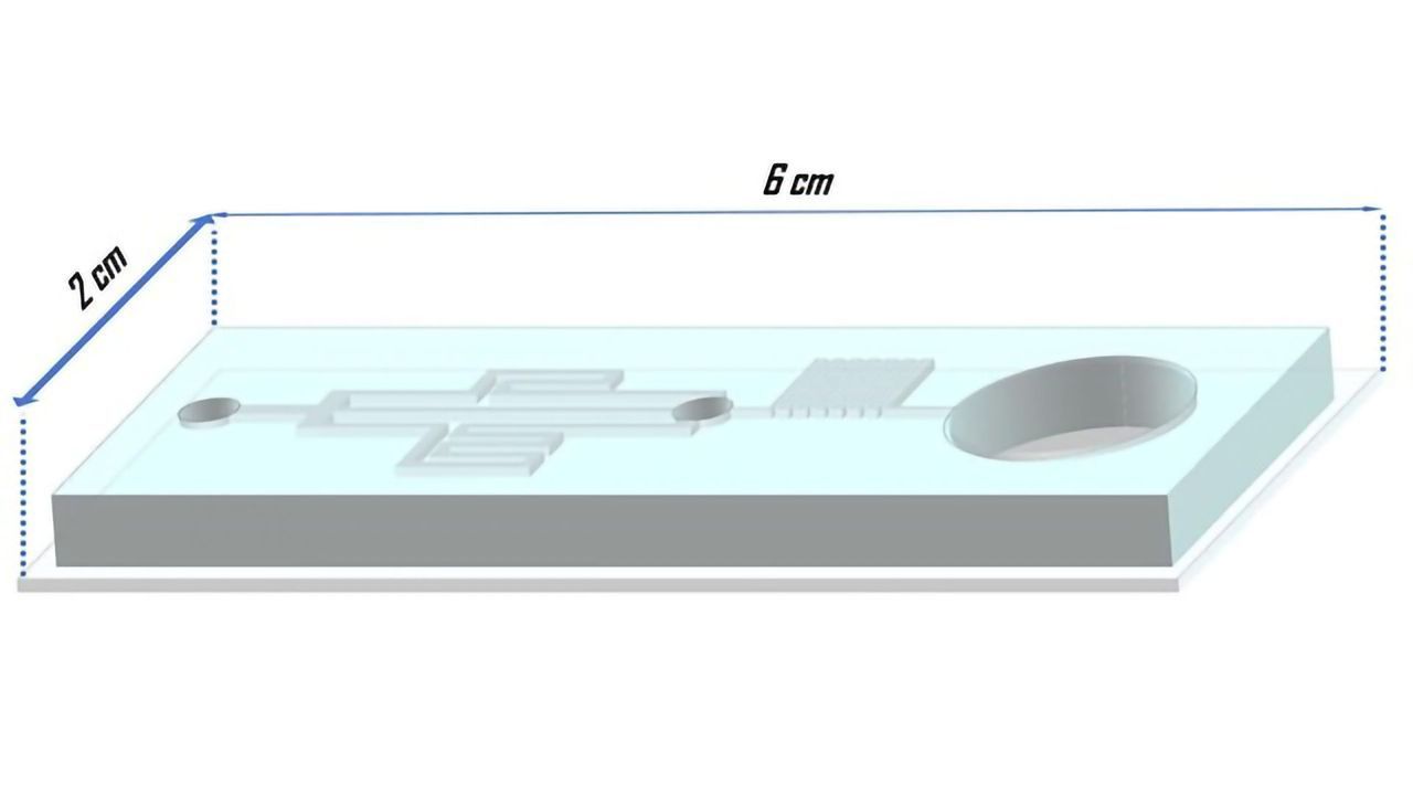 New Method of Embryo Cryopreservation Minimizes Cryoinjuries