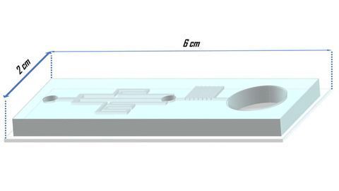 New Method of Embryo Cryopreservation Minimizes Cryoinjuries