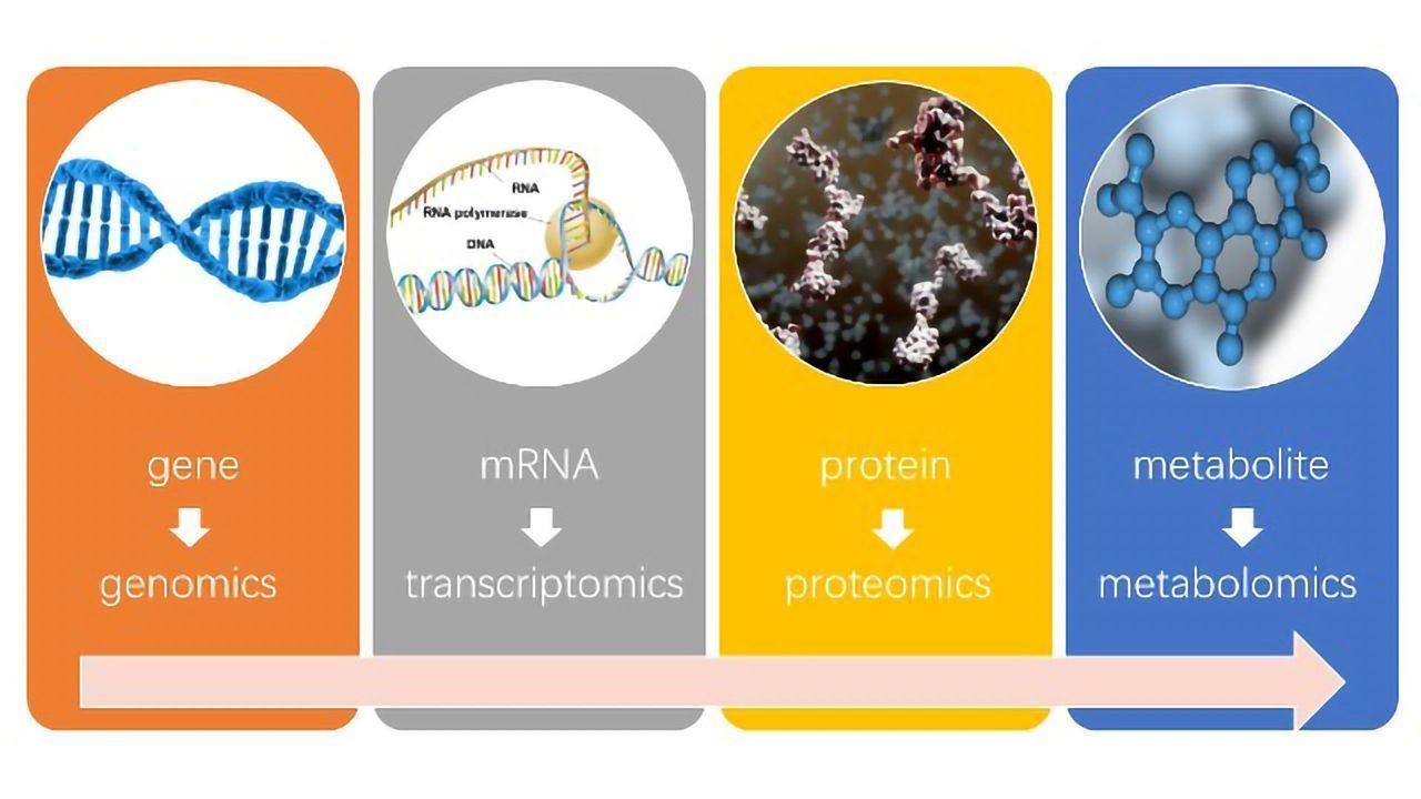 Revolutionizing Metabolomics Practices With Machine Learning