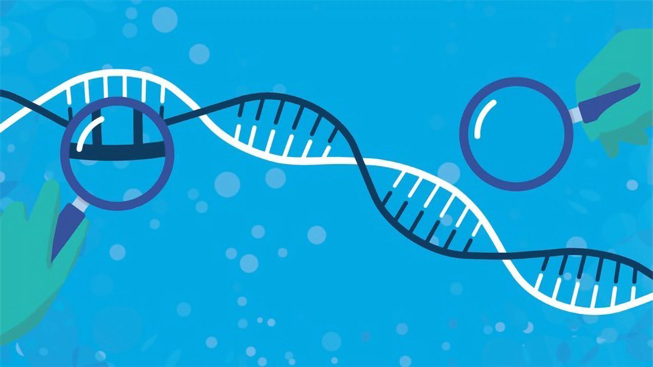 Customize Your NGS Workflow Your Way