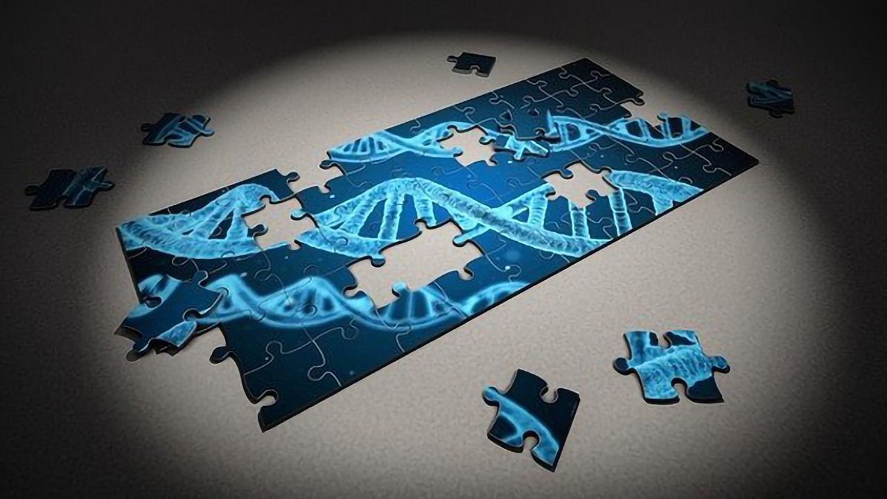 New Gene Editing Method Permanently Lowers Cholesterol in Mouse Study