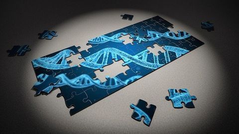 New Gene Editing Method Permanently Lowers Cholesterol in Mouse Study