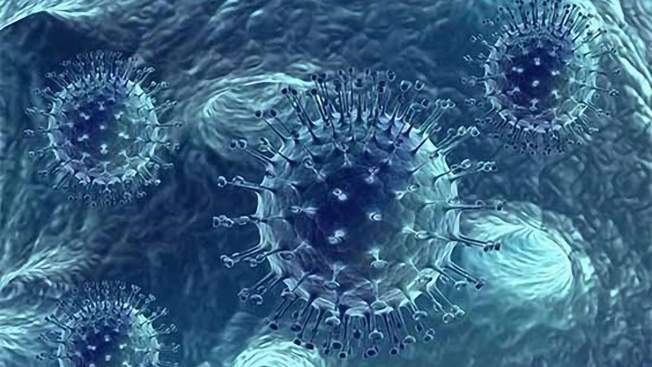 Adeno-Associated Virus (AAV) Reference Materials