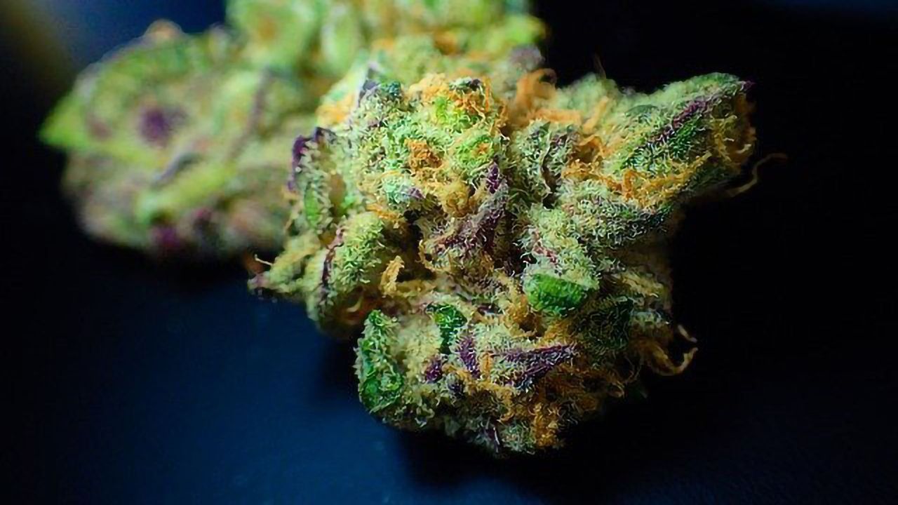 Peptide Helps Cannabis-Derived Drugs Ease Pain Without Side Effects